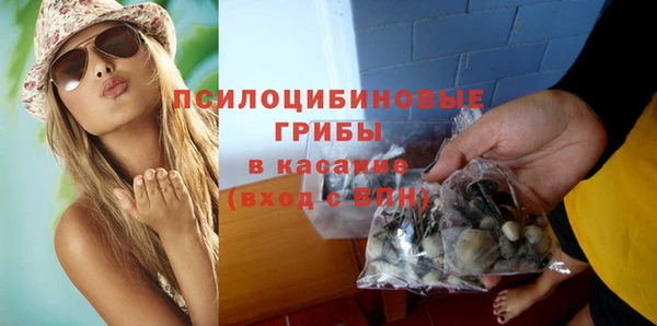 spice Каменка