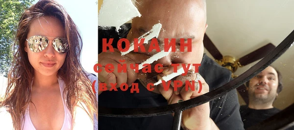 индика Каменногорск
