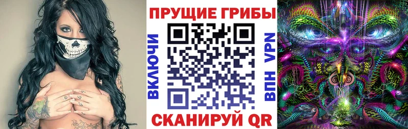 Псилоцибиновые грибы Psilocybe mega как войти Белоусово